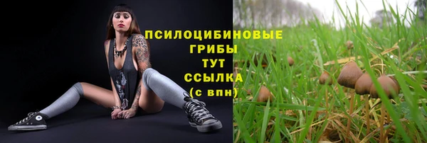 сатива Алзамай