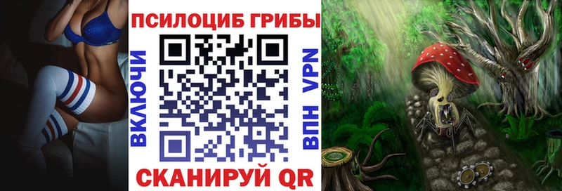 Галлюциногенные грибы GOLDEN TEACHER  Шатура 